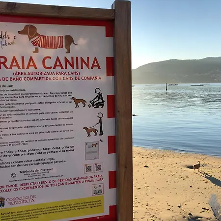 Casa Arealonga Апартаменты Виго