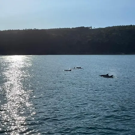 Casa Arealonga * Vigo