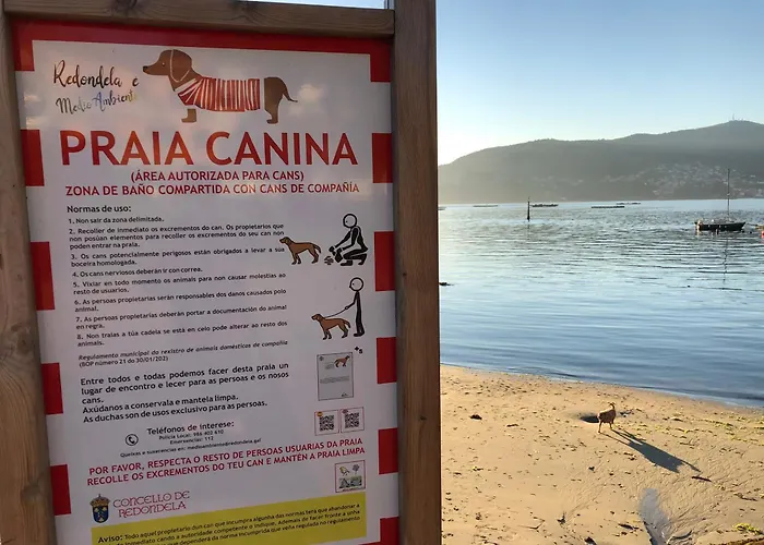 Casa Arealonga Apartment Vigo