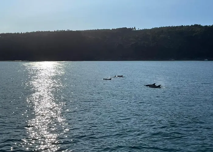 Casa Arealonga * Vigo